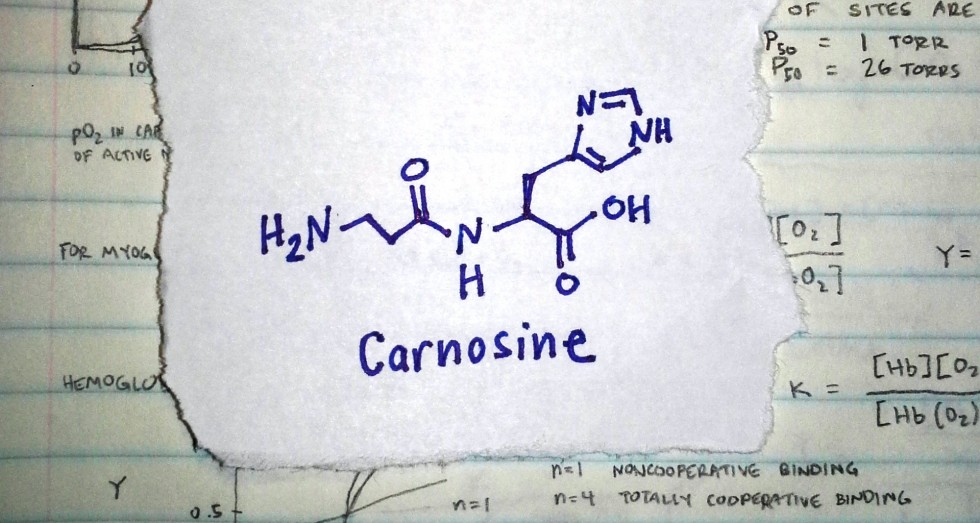 20140520_144333-carnosine